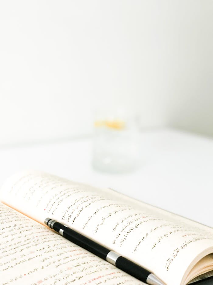 pexels photo 18273009.jpeg